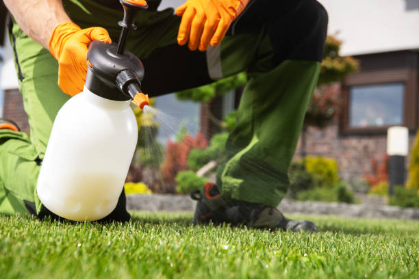 Best Flea Control Services  in Durand, IL