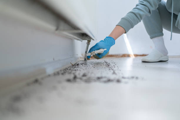Best Pest Control for Restaurants  in Durand, IL